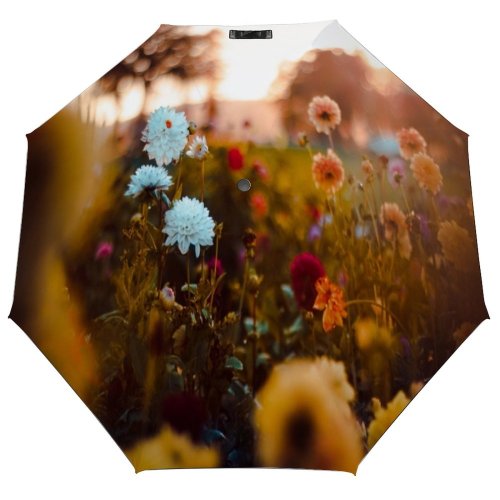 yanfind Umbrella Manual Agriculture Growth Scented Augsburg Botany Deep Beauty Bud Dark Fragility Planting Springtime Windproof waterproof anti-ultraviolet protection golf umbrella