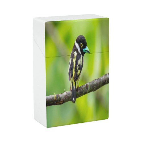 yanfind Cigarette Case Cute Social Stage Perching Wing Throat Tree Issues Beauty Awe Fragility Wilderness Hard Plastic Crushproof Cigarette Case