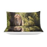 yanfind Bedding Set of 3 (1 Cover, 2 Bed Pillowcase Without Sheet)Images Lion Wildlife Pictures Free Duvet Cover personalization