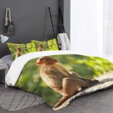 yanfind Bedding Set of 3 (1 Cover, 2 Bed Pillowcase Without Sheet)Common Images India Public Salem Wildlife Lonely Wallpapers Old Pictures Baboon Duvet Cover personalization