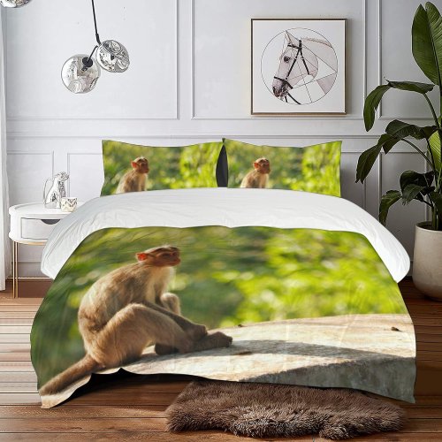 yanfind Bedding Set of 3 (1 Cover, 2 Bed Pillowcase Without Sheet)Common Images India Public Salem Wildlife Lonely Wallpapers Old Pictures Baboon Duvet Cover personalization