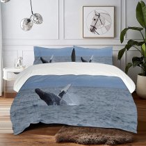 yanfind Bedding Set of 3 (1 Cover, 2 Bed Pillowcase Without Sheet)Images Monterey Sea Wallpapers Wildlife Stock Free Humpback Pictures Birds Grey Duvet Cover personalization