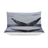 yanfind Bedding Set of 3 (1 Cover, 2 Bed Pillowcase Without Sheet)Images Ocean Meteorological Fisheries Meteorology Sea Wallpapers Coral Free Aircraft Underwater Duvet Cover personalization