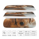 yanfind Bedding Set of 3 (1 Cover, 2 Bed Pillowcase Without Sheet)Golden Images Pet Sigma Wallpapers Silly Plywood Goofy D Pictures Duvet Cover personalization