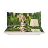 yanfind Bedding Set of 3 (1 Cover, 2 Bed Pillowcase Without Sheet)Images Ocean Cocktail Pet Hound Eating Wallpapers Humor Beagle Free Pictures Strap Duvet Cover personalization
