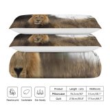 yanfind Bedding Set of 3 (1 Cover, 2 Bed Pillowcase Without Sheet)Images Lion Wildlife Africa Pictures PNG Kgalagadi Duvet Cover personalization