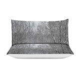 yanfind Bedding Set of 3 (1 Cover, 2 Bed Pillowcase Without Sheet)Images Land Flowers Snow Wallpapers Plant Outdoors Tree States Winter Forest Duvet Cover personalization
