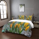 yanfind Bedding Set of 3 (1 Cover, 2 Bed Pillowcase Without Sheet)Images Ogorod Spring Petal Flowers Plant Garden Tulip Free Pictures Flower Crocuses Duvet Cover personalization