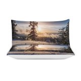 yanfind Bedding Set of 3 (1 Cover, 2 Bed Pillowcase Without Sheet)Fir Images Kirkwood Flora Pine Landscape Public Snow Sky Wallpapers Plant Duvet Cover personalization