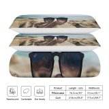 yanfind Bedding Set of 3 (1 Cover, 2 Bed Pillowcase Without Sheet)Images Monica Ocean Wallpapers Sea Santa Beach Travel Sunnies States Summer Pictures Duvet Cover personalization