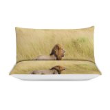 yanfind Bedding Set of 3 (1 Cover, 2 Bed Pillowcase Without Sheet)Images Mara Grassland Grass Africa Wildlife Wallpapers Safari Travel Outdoors Stock Masai Duvet Cover personalization