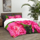 yanfind Bedding Set of 3 (1 Cover, 2 Bed Pillowcase Without Sheet)Geranium Images Carnation Rose Spring Petal Peony Flowers Dahlia Plant Free Summer Duvet Cover personalization