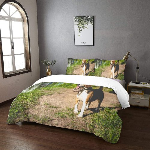 yanfind Bedding Set of 3 (1 Cover, 2 Bed Pillowcase Without Sheet)Ground Images Pet Hound Grass Wallpapers Pedigreed Beagle Stock Free Aquatic Duvet Cover personalization