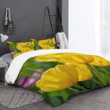 yanfind Bedding Set of 3 (1 Cover, 2 Bed Pillowcase Without Sheet)Images Ogorod Spring Flowers Wallpapers Plant Garden Tulip Stock Free Pictures Tulips Duvet Cover personalization