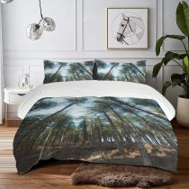 yanfind Bedding Set of 3 (1 Cover, 2 Bed Pillowcase Without Sheet)Fir Images Wide Landscape Wallpapers Plant Tree Free Abies Frosty Forest Woodland Duvet Cover personalization