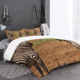 yanfind Bedding Set of 3 (1 Cover, 2 Bed Pillowcase Without Sheet)Images Africa Wildlife Wallpapers Horse Zebra Pictures Earthe Creative Big Uganda Commons Duvet Cover personalization