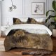 yanfind Bedding Set of 3 (1 Cover, 2 Bed Pillowcase Without Sheet)Images Lion Wildlife Africa Pictures PNG Kgalagadi Duvet Cover personalization