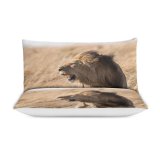 yanfind Bedding Set of 3 (1 Cover, 2 Bed Pillowcase Without Sheet)Images Alpha Leader Kruger Africa Wildlife Safari Stand Pictures Mane Creative Teeth Duvet Cover personalization