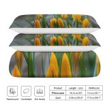 yanfind Bedding Set of 3 (1 Cover, 2 Bed Pillowcase Without Sheet)Images Ogorod Spring Petal Flowers Plant Garden Tulip Free Pictures Flower Crocuses Duvet Cover personalization