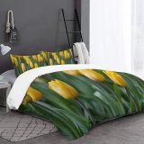 yanfind Bedding Set of 3 (1 Cover, 2 Bed Pillowcase Without Sheet)Images Ogorod Spring Flowers Public Wallpapers Plant Garden Tulip Pictures Tulips Flower Duvet Cover personalization