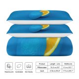yanfind Bedding Set of 3 (1 Cover, 2 Bed Pillowcase Without Sheet)Images Minimal University HQ Colour Fun Wallpapers Fruits Free Art Pictures Creative Duvet Cover personalization