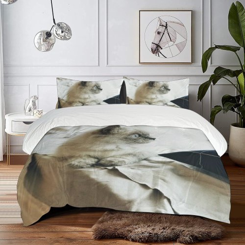yanfind Bedding Set of 3 (1 Cover, 2 Bed Pillowcase Without Sheet)City Lovely Eyes Images Kitty Pet Siamese Wallpapers Free Minh Pictures Duvet Cover personalization
