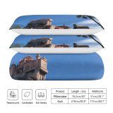 yanfind Bedding Set of 3 (1 Cover, 2 Bed Pillowcase Without Sheet)City Images Building Fl Public Wallpapers Disney's Plant Studios Architecture Outdoors Tree Duvet Cover personalization