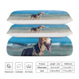 yanfind Bedding Set of 3 (1 Cover, 2 Bed Pillowcase Without Sheet)Images Pet Freedom Happiness Hound Beagle Pup Active Pictures Creative Nose Бали Duvet Cover personalization