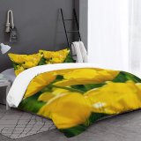 yanfind Bedding Set of 3 (1 Cover, 2 Bed Pillowcase Without Sheet)Images Ogorod Spring Flowers Wallpapers Plant Garden Tulip Pictures Tulips Flower Creative Duvet Cover personalization