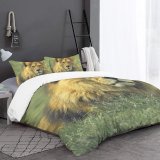 yanfind Bedding Set of 3 (1 Cover, 2 Bed Pillowcase Without Sheet)Images Lion Wildlife Leone Kinglion Pictures PNG Lionforest King Wild Duvet Cover personalization