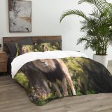 yanfind Bedding Set of 3 (1 Cover, 2 Bed Pillowcase Without Sheet)Images Lion Wildlife Pictures Free Duvet Cover personalization