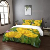 yanfind Bedding Set of 3 (1 Cover, 2 Bed Pillowcase Without Sheet)Images Ogorod Spring Flowers Wallpapers Plant Garden Tulip Stock Free Pictures Tulips Duvet Cover personalization