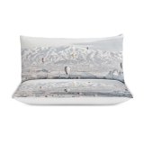 yanfind Bedding Set of 3 (1 Cover, 2 Bed Pillowcase Without Sheet)Images HQ Landscape Snow Wallpapers Outdoors Aircraft Arctic Winter Pictures Duvet Cover personalization