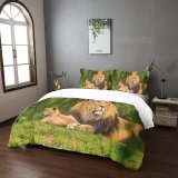 yanfind Bedding Set of 3 (1 Cover, 2 Bed Pillowcase Without Sheet)Images Lion Wildlife Wallpapers Plzeň Pictures Public HQ Domain Česko Duvet Cover personalization