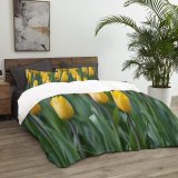 yanfind Bedding Set of 3 (1 Cover, 2 Bed Pillowcase Without Sheet)Images Ogorod Spring Flowers Public Wallpapers Plant Garden Tulip Pictures Tulips Flower Duvet Cover personalization