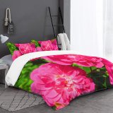 yanfind Bedding Set of 3 (1 Cover, 2 Bed Pillowcase Without Sheet)Geranium Images Carnation Rose Spring Petal Peony Flowers Dahlia Plant Free Summer Duvet Cover personalization