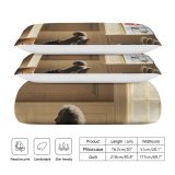 yanfind Bedding Set of 3 (1 Cover, 2 Bed Pillowcase Without Sheet)Images Path Christmas Snow Ijzerenleen Wallpapers Outdoors Tree Lights Snowfall Winter Pictures Duvet Cover personalization