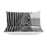 yanfind Bedding Set of 3 (1 Cover, 2 Bed Pillowcase Without Sheet)Creative Images Wildlife Wallpapers Grey Commons Zebra Pictures Duvet Cover personalization
