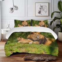 yanfind Bedding Set of 3 (1 Cover, 2 Bed Pillowcase Without Sheet)Images Lion Wildlife Wallpapers Plzeň Pictures Public HQ Domain Česko Duvet Cover personalization