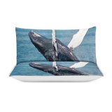 yanfind Bedding Set of 3 (1 Cover, 2 Bed Pillowcase Without Sheet)Images Ocean Sea Wallpapers Wildlife Fish Free Pictures Birds Grey Massachusetts Duvet Cover personalization