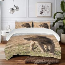 yanfind Bedding Set of 3 (1 Cover, 2 Bed Pillowcase Without Sheet)Images Alpha Leader Kruger Africa Wildlife Safari Stand Pictures Mane Creative Teeth Duvet Cover personalization