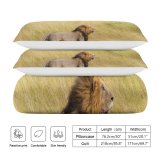 yanfind Bedding Set of 3 (1 Cover, 2 Bed Pillowcase Without Sheet)Images Mara Grassland Grass Africa Wildlife Wallpapers Safari Travel Outdoors Stock Masai Duvet Cover personalization