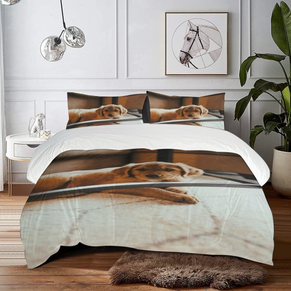 yanfind Bedding Set of 3 (1 Cover, 2 Bed Pillowcase Without Sheet)Golden Images Pet Sigma Wallpapers Silly Plywood Goofy D Pictures Duvet Cover personalization