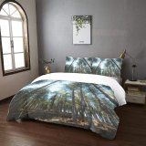 yanfind Bedding Set of 3 (1 Cover, 2 Bed Pillowcase Without Sheet)Fir Images Wide Landscape Wallpapers Plant Tree Free Abies Frosty Forest Woodland Duvet Cover personalization