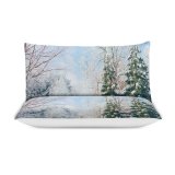yanfind Bedding Set of 3 (1 Cover, 2 Bed Pillowcase Without Sheet)Fir Images Christmas Flora Pine Frost Landscape Snow Wallpapers Plant Outdoors Tree Duvet Cover personalization