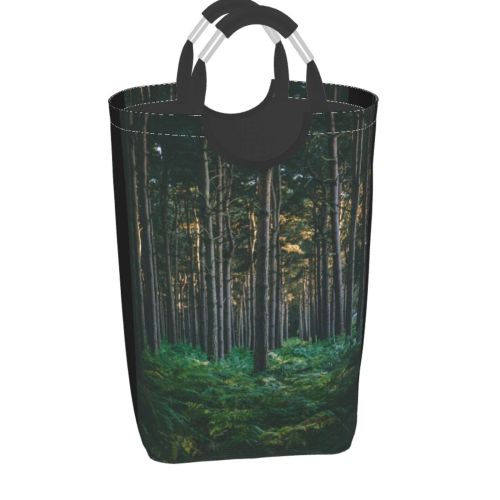 YANFIND Plants Park Forest Landscape Daylight Fern Outdoors Scenic Woods Fall Dawn Evergreen Storage Organizer Foldable Bucket Washing Bin Dirty Clothes Bag For Home Bathroom Bedroom Dorm