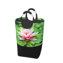 YANFIND Plants Vibrant Exotic Sacred Aquatic Colorful Lily Growth Tropical Blooming Meditation Pool Storage Organizer Foldable Bucket Washing Bin Dirty Clothes Bag For Home Bathroom Bedroom Dorm
