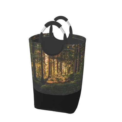 YANFIND Plants Forest Sunlight Mystery Grass Landscape Daylight Light Conifer Sun Rays Outdoors Storage Organizer Foldable Bucket Washing Bin Dirty Clothes Bag For Home Bathroom Bedroom Dorm