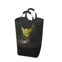 YANFIND Plants Forest Scenery Landscape Travel Rainforest Tranquil Stream Scenic Outdoors Dried Idyllic Storage Organizer Foldable Bucket Washing Bin Dirty Clothes Bag For Home Bathroom Bedroom Dorm