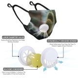 YANFIND Breathing valve mask with filters African Penguin Animal Photography Antarctic Antarctica Black And White Background Close Up Dust Washable Reusable Filter and Reusable
